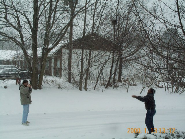 Snow Boys