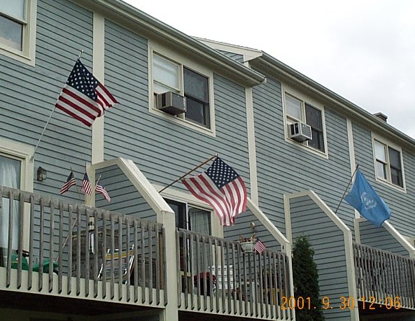 Patriotic Flags in 2001